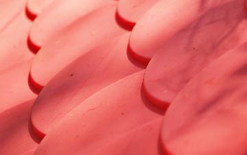 Sneachill plastic roof costs